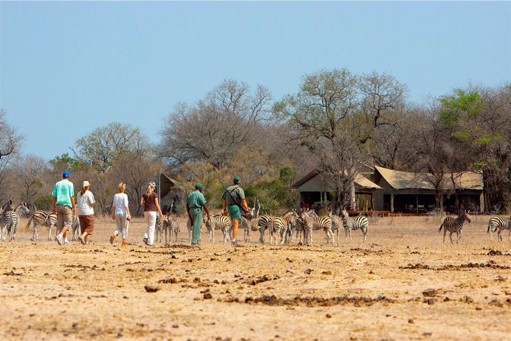 Rhino Post Walking Safaris